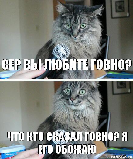 Сер вы любите говно? Что кто сказал говно? Я его обожаю, Комикс  кот с микрофоном