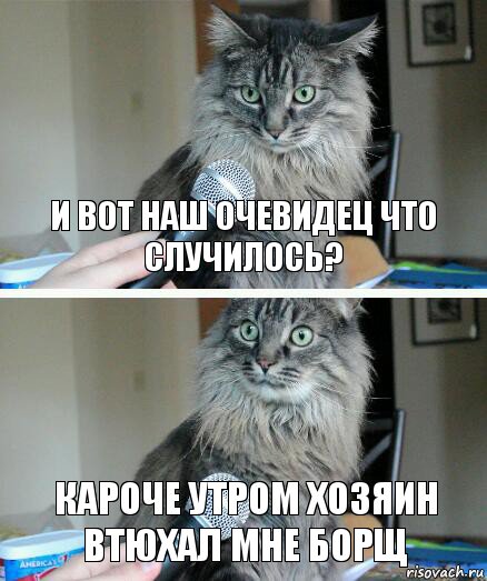 и вот наш очевидец что случилось? кароче утром хозяин втюхал мне борщ, Комикс  кот с микрофоном