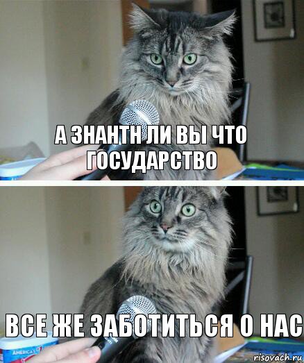 а знантн ли вы что государство все же заботиться о нас, Комикс  кот с микрофоном