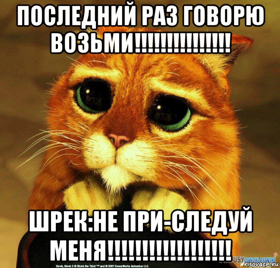 последний раз говорю возьми!!!!!!!!!!!!!!! шрек:не при-следуй меня!!!!!!!!!!!!!!!!!!, Мем Котик из Шрека