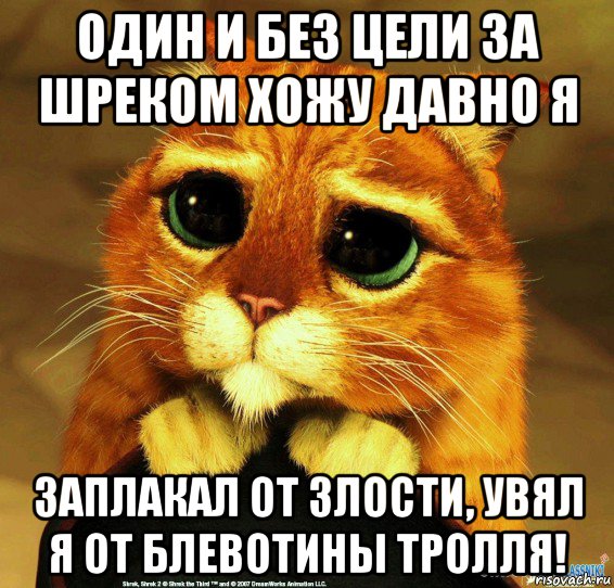 один и без цели за шреком хожу давно я заплакал от злости, увял я от блевотины тролля!, Мем Котик из Шрека