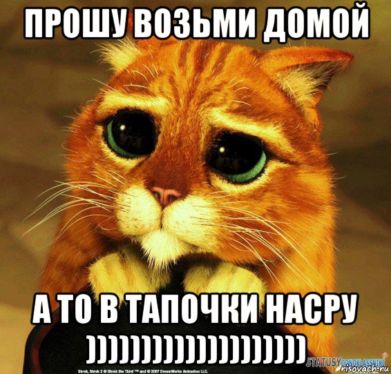 прошу возьми домой а то в тапочки насру )))))))))))))))))))), Мем Котик из Шрека