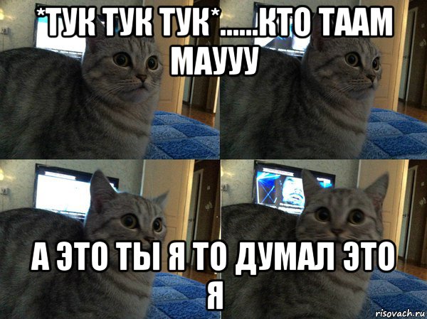 *тук тук тук*......кто таам маууу а это ты я то думал это я, Мем  Кот в шоке