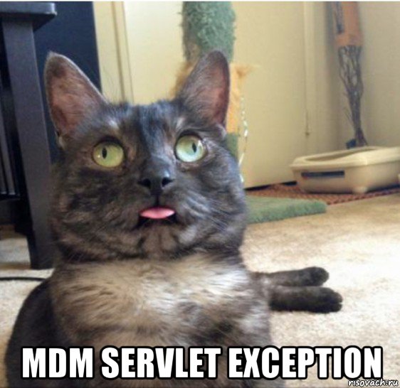  mdm servlet exception, Мем   Кот завис