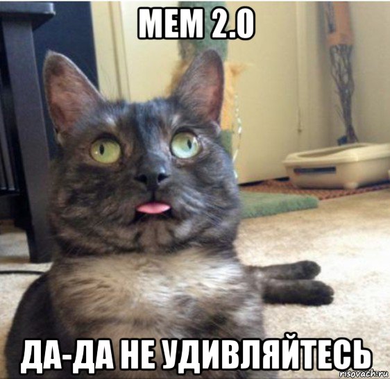 мем 2.0 да-да не удивляйтесь, Мем   Кот завис