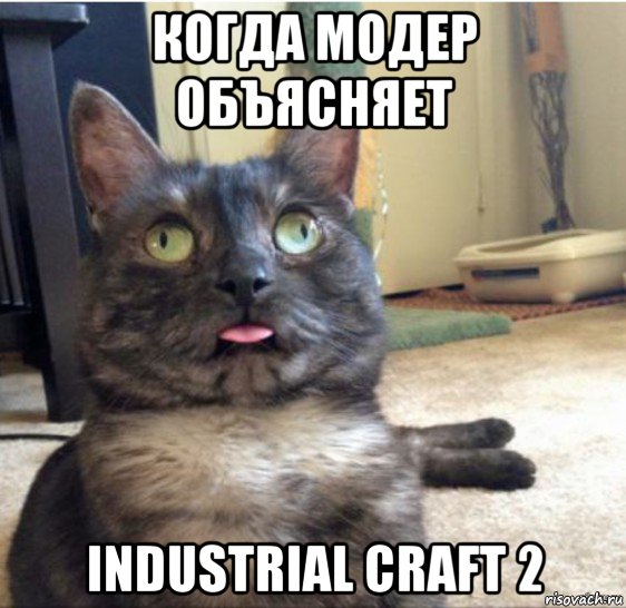 когда модер объясняет industrial craft 2, Мем   Кот завис