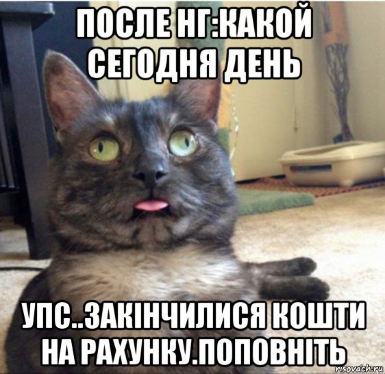 после нг:какой сегодня день упс..закінчилися кошти на рахунку.поповніть, Мем   Кот завис