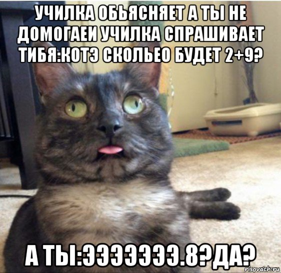 училка обьясняет а ты не домогаеи училка спрашивает тибя:котэ скольео будет 2+9? а ты:эээээээ.8?да?, Мем   Кот завис