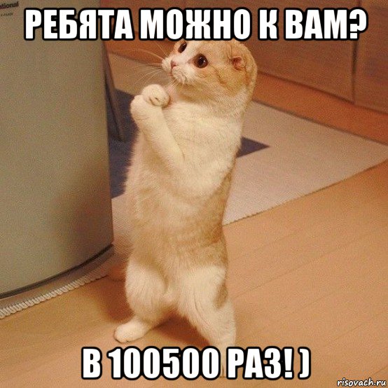 ребята можно к вам? в 100500 раз! ), Мем  котэ молится