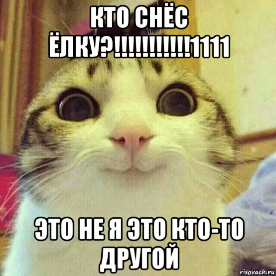 кто снёс ёлку?!!!!!!!!!!!1111 это не я это кто-то другой, Мем       Котяка-улыбака