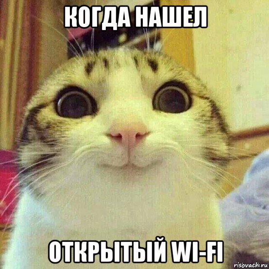 когда нашел открытый wi-fi, Мем       Котяка-улыбака