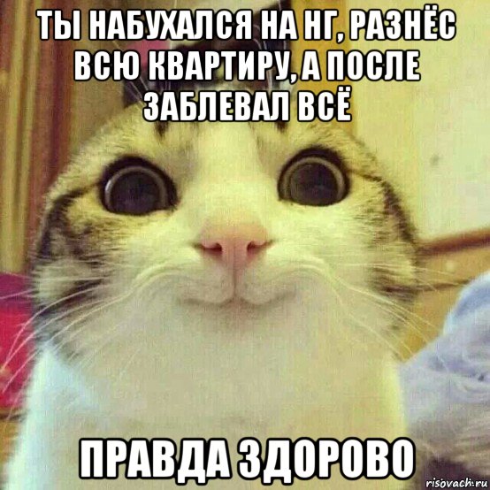 ты набухался на нг, разнёс всю квартиру, а после заблевал всё правда здорово, Мем       Котяка-улыбака