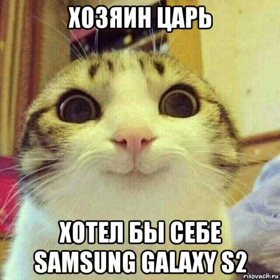 хозяин царь хотел бы себе samsung galaxy s2, Мем       Котяка-улыбака