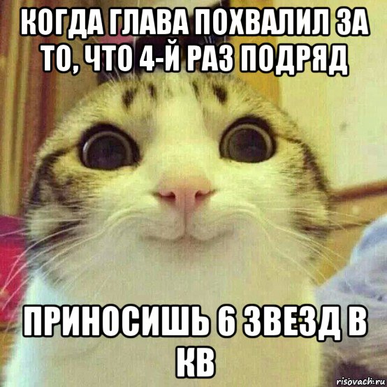 когда глава похвалил за то, что 4-й раз подряд приносишь 6 звезд в кв, Мем       Котяка-улыбака