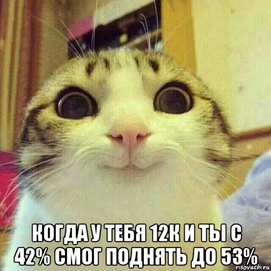  когда у тебя 12к и ты с 42% смог поднять до 53%, Мем       Котяка-улыбака