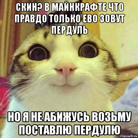 скин? в майнкрафте что правдо только ево зовут пердуль но я не абижусь возьму поставлю пердулю, Мем       Котяка-улыбака