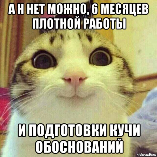 а н нет можно, 6 месяцев плотной работы и подготовки кучи обоснований, Мем       Котяка-улыбака