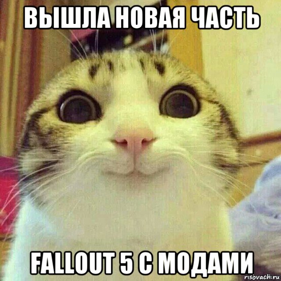 вышла новая часть fallout 5 с модами, Мем       Котяка-улыбака