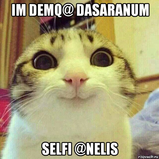 im demq@ dasaranum selfi @nelis, Мем       Котяка-улыбака