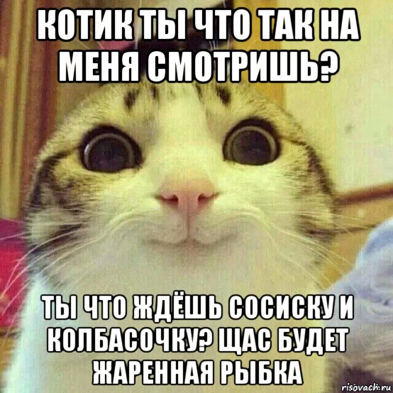 котик ты что так на меня смотришь? ты что ждёшь сосиску и колбасочку? щас будет жаренная рыбка, Мем       Котяка-улыбака