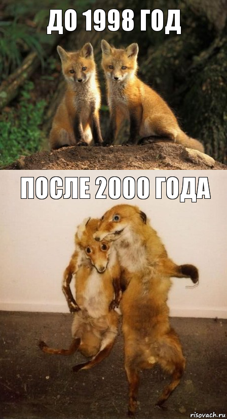 ДО 1998 ГОД ПОСЛЕ 2000 ГОДА, Комикс Лисицы