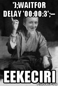 ');waitfor delay '00:00:3';-- eekeciri