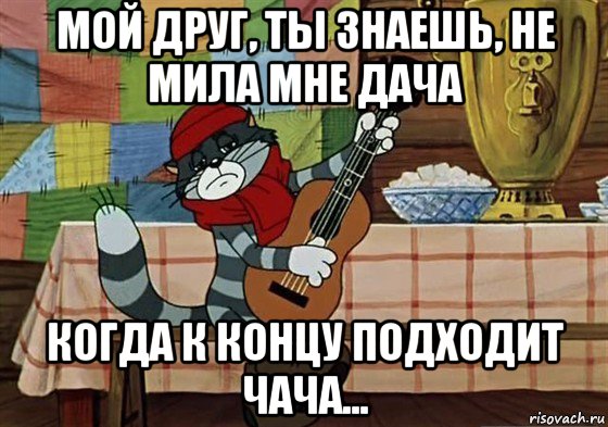 мой друг, ты знаешь, не мила мне дача когда к концу подходит чача...