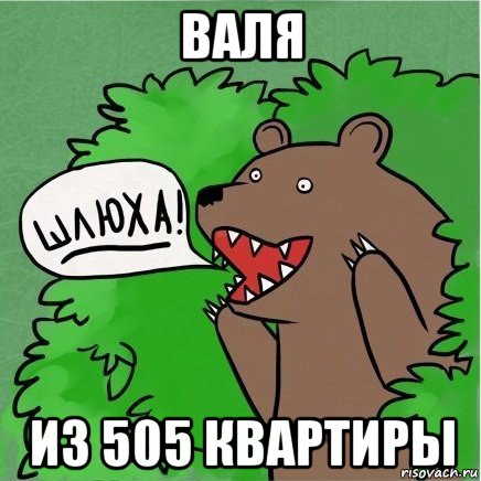 валя из 505 квартиры