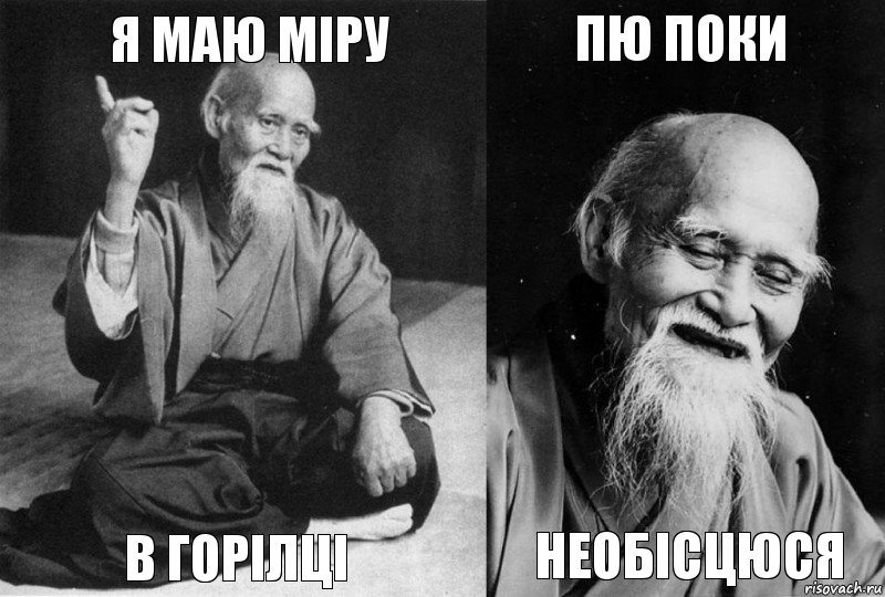 Я маю міру в горілці пю поки необісцюся, Комикс Мудрец-монах (4 зоны)