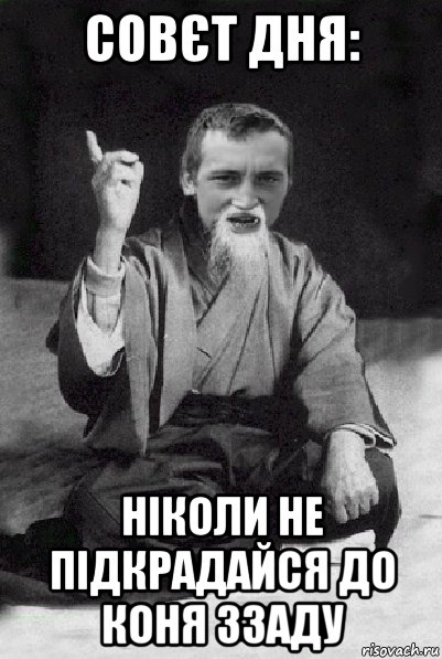 совєт дня: ніколи не підкрадайся до коня ззаду, Мем Мудрий паца