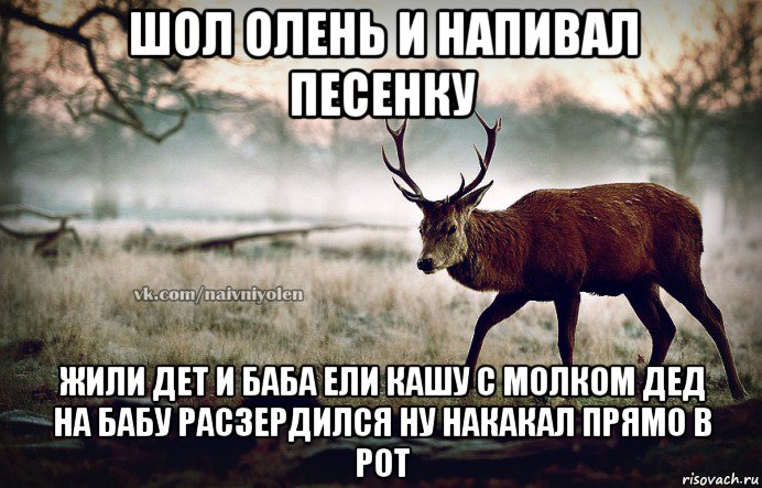 шол олень и напивал песенку жили дет и баба ели кашу с молком дед на бабу расзердился ну накакал прямо в рот