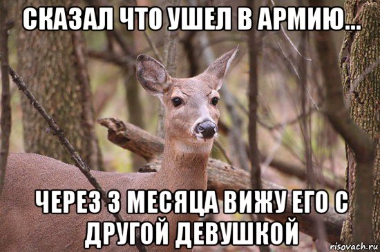 сказал что ушел в армию... через 3 месяца вижу его с другой девушкой, Мем Наивная олениха