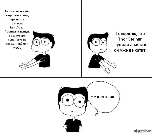 Ты считаешь себя националистом, правым и отчасти RaHoWa... Постишь нашиды, в разговоре используешь харам, такбир и куфр... Говоришь, что Thor Steinar купили арабы и он уже не катит. Не надо так., Комикс Не надо так (парень)