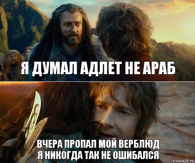 я думал адлет не араб вчера пропал мой верблюд
я никогда так не ошибался, Комикс Я никогда еще так не ошибался