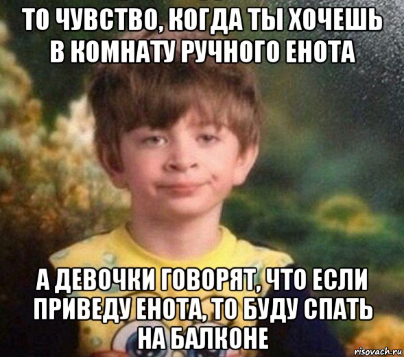 то чувство, когда ты хочешь в комнату ручного енота а девочки говорят, что если приведу енота, то буду спать на балконе, Мем Недовольный пацан