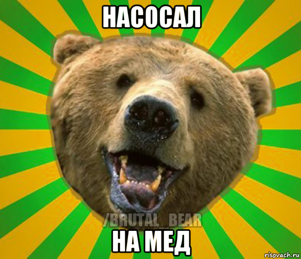 насосал на мед, Мем Нелепый медведь