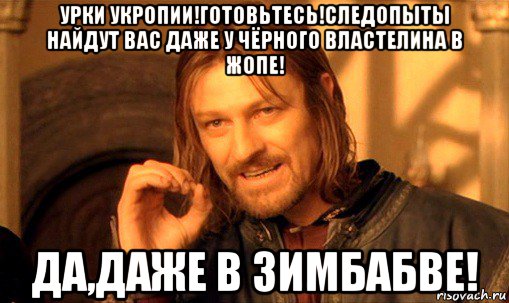 урки укропии!готовьтесь!следопыты найдут вас даже у чёрного властелина в жопе! да,даже в зимбабве!, Мем Нельзя просто так взять и (Боромир мем)