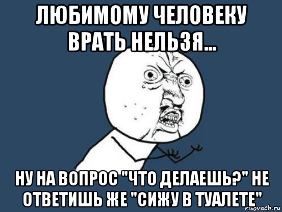 любимому человеку врать нельзя... ну на вопрос "что делаешь?" не ответишь же "сижу в туалете", Мем Ну почему