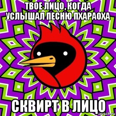 твое лицо, когда услышал песню пхараоха сквирт в лицо, Мем Омская птица