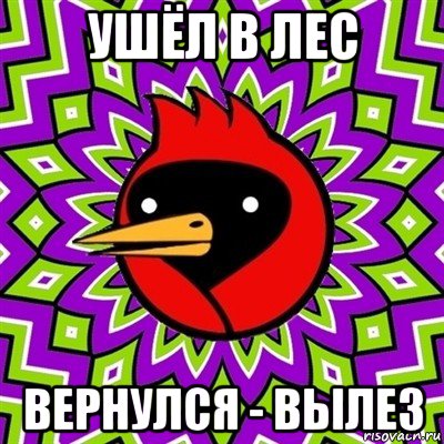 ушёл в лес вернулся - вылез, Мем Омская птица