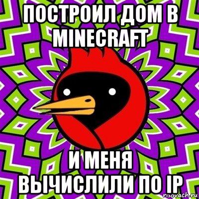 построил дом в minecraft и меня вычислили по ip, Мем Омская птица