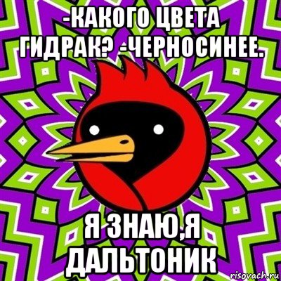 -какого цвета гидрак? -черносинее. я знаю,я дальтоник, Мем Омская птица