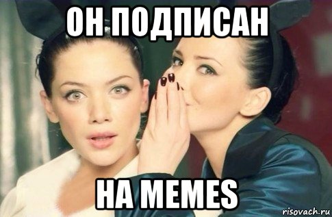 он подписан на memes, Мем  Он