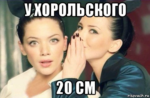 у хорольского 20 см, Мем  Он