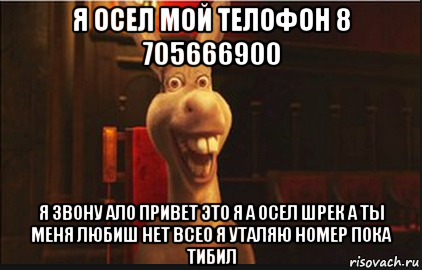 я осел мой телофон 8 705666900 я звону ало привет это я а осел шрек а ты меня любиш нет всео я уталяю номер пока тибил, Мем Осел из Шрека