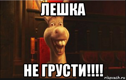 лешка не грусти!!!!, Мем Осел из Шрека