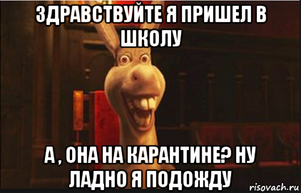 здравствуйте я пришел в школу а , она на карантине? ну ладно я подожду, Мем Осел из Шрека