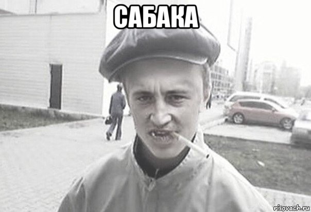 сабака , Мем Пацанська философия