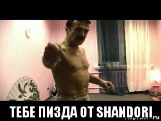  тебе пизда от shandori, Мем Паскуда тварь