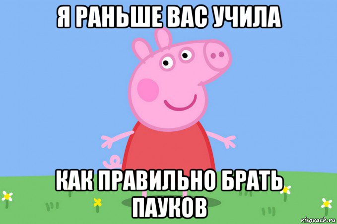 я раньше вас учила как правильно брать пауков, Мем Пеппа